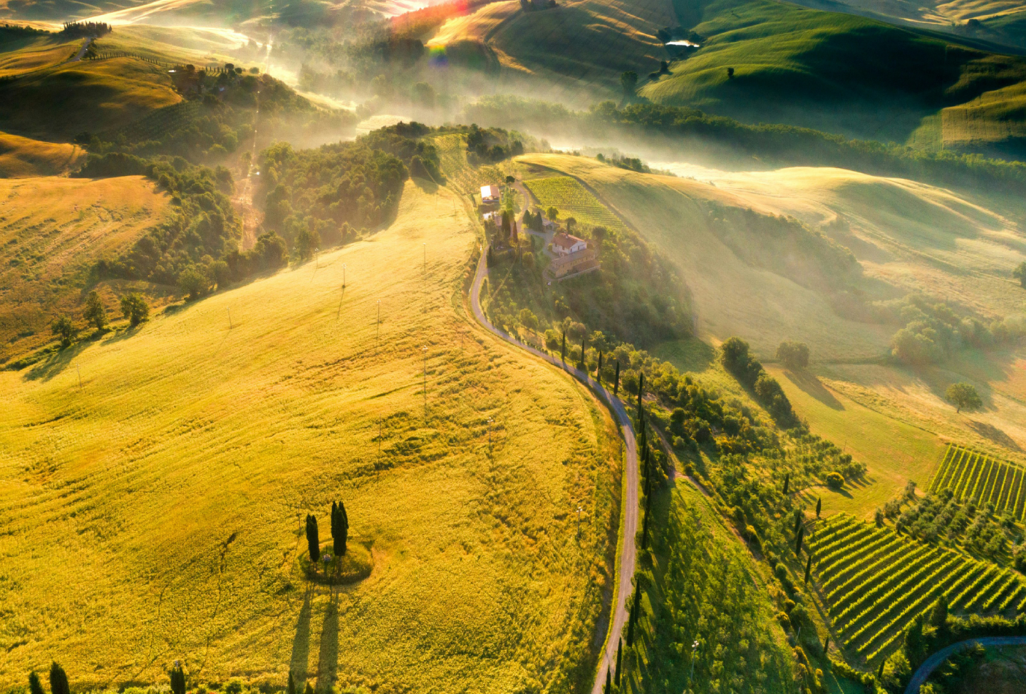 Sustain the Planet